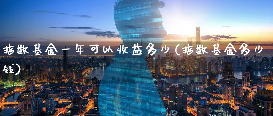 指数基金一年可以收益多少(指数基金多少钱)_https://www.yunsqy.com_期货直播_第1张