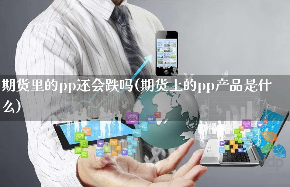 期货里的pp还会跌吗(期货上的pp产品是什么)_https://www.yunsqy.com_期货整理_第1张