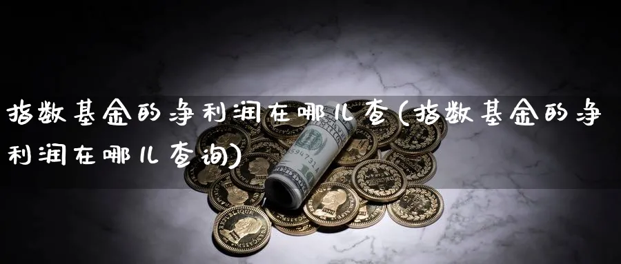 指数基金的净利润在哪儿查(指数基金的净利润在哪儿查询)_https://www.yunsqy.com_期货直播_第1张