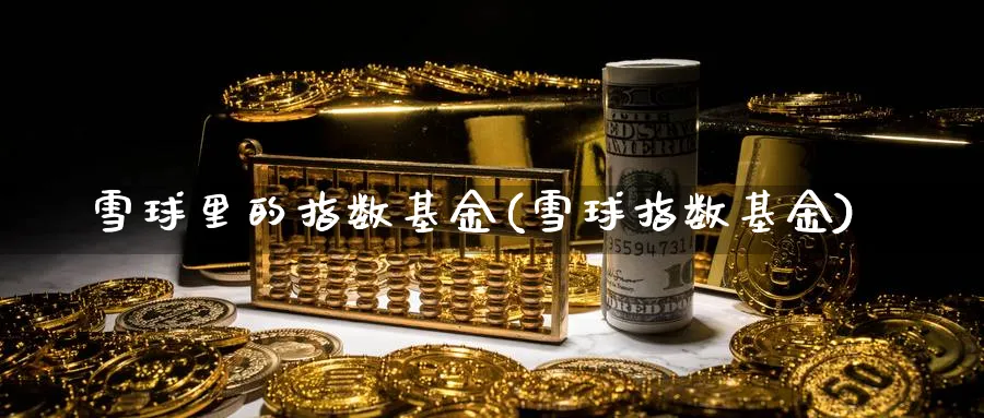 雪球里的指数基金(雪球指数基金)_https://www.yunsqy.com_原油期货_第1张