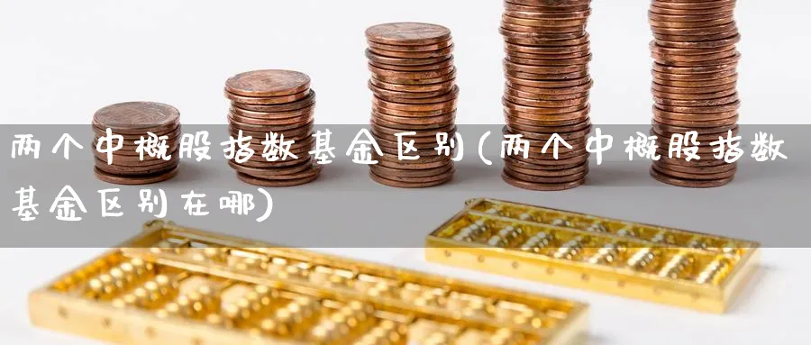 两个中概股指数基金区别(两个中概股指数基金区别在哪)_期货分类_第1张_云上财经直播室 两个中概股指数基金区别(两个中概股指数基金区别在哪)_https://www.yunsqy.com_期货分类_第1张