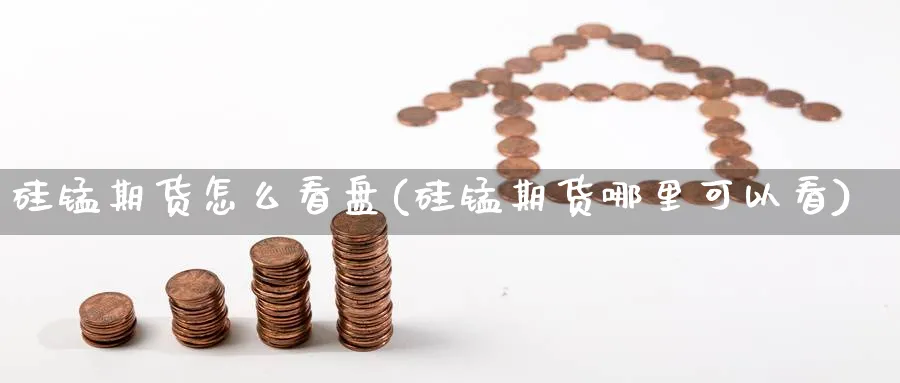 硅锰期货怎么看盘(硅锰期货哪里可以看)_https://www.yunsqy.com_理财百科_第1张