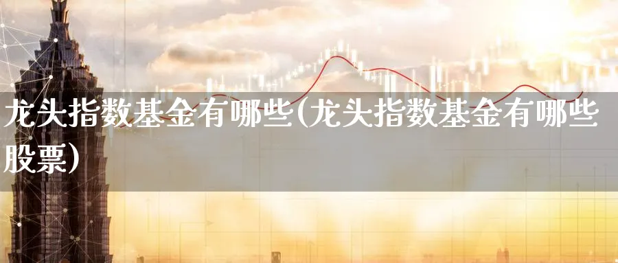 龙头指数基金有哪些(龙头指数基金有哪些股票)_期货整理_第1张_云上财经直播室 龙头指数基金有哪些(龙头指数基金有哪些股票)_https://www.yunsqy.com_期货整理_第1张