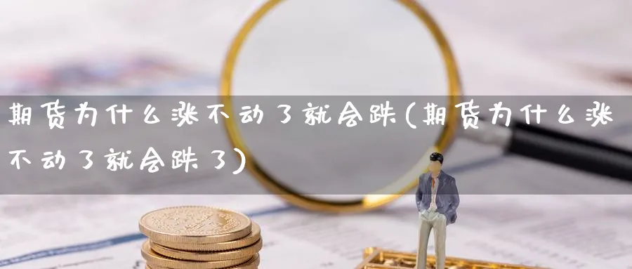 期货为什么涨不动了就会跌(期货为什么涨不动了就会跌了)_https://www.yunsqy.com_纳指期货_第1张