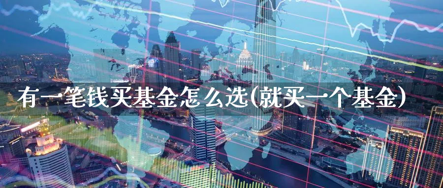 有一笔钱买基金怎么选(就买一个基金)_https://www.yunsqy.com_理财百科_第1张