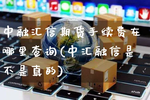 中融汇信期货手续费在哪里查询(中汇融信是不是真的)_https://www.yunsqy.com_期货整理_第1张