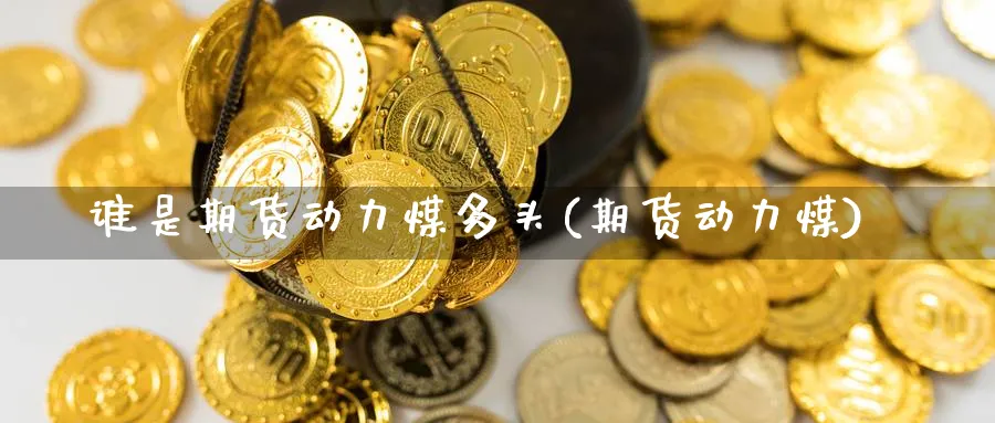 谁是期货动力煤多头(期货动力煤)_期货入门_第1张_云上财经直播室 谁是期货动力煤多头(期货动力煤)_https://www.yunsqy.com_期货入门_第1张