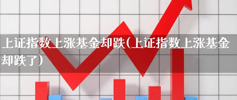 上证指数上涨基金却跌(上证指数上涨基金却跌了)_https://www.yunsqy.com_纳指期货_第1张