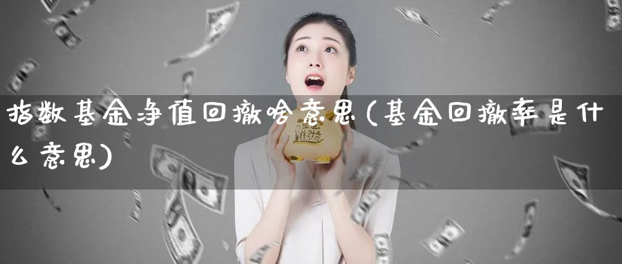 指数基金净值回撤啥意思(基金回撤率是什么意思)_https://www.yunsqy.com_期货分类_第1张