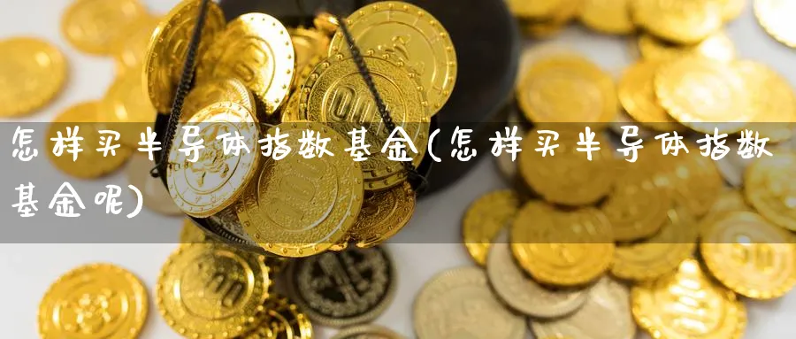 怎样买半导体指数基金(怎样买半导体指数基金呢)_期货分类_第1张_云上财经直播室 怎样买半导体指数基金(怎样买半导体指数基金呢)_https://www.yunsqy.com_期货分类_第1张