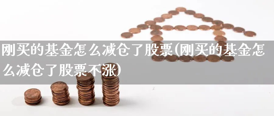 刚买的基金怎么减仓了股票(刚买的基金怎么减仓了股票不涨)_期货入门_第1张_云上财经直播室 刚买的基金怎么减仓了股票(刚买的基金怎么减仓了股票不涨)_https://www.yunsqy.com_期货入门_第1张