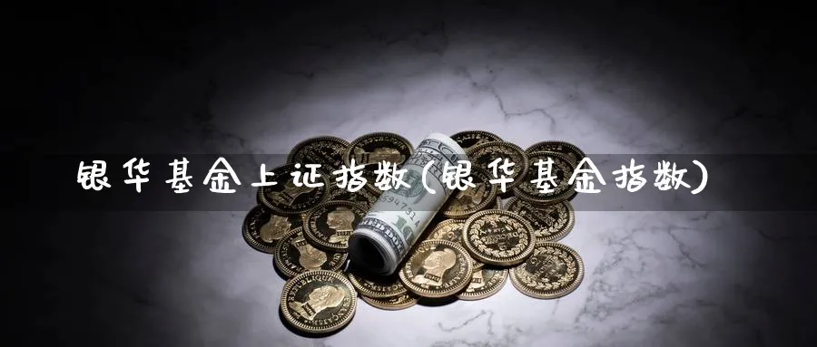 银华基金上证指数(银华基金指数)_https://www.yunsqy.com_期货直播_第1张