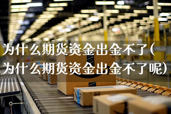 为什么期货资金出金不了(为什么期货资金出金不了呢)_https://www.yunsqy.com_期货分类_第1张