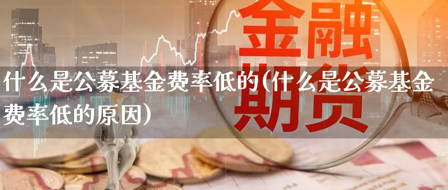什么是公募基金费率低的(什么是公募基金费率低的原因)_纳指期货_第1张_云上财经直播室 什么是公募基金费率低的(什么是公募基金费率低的原因)_https://www.yunsqy.com_纳指期货_第1张