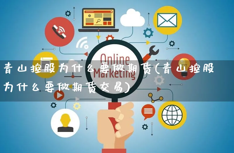 青山控股为什么要做期货(青山控股为什么要做期货交易)_https://www.yunsqy.com_原油期货_第1张