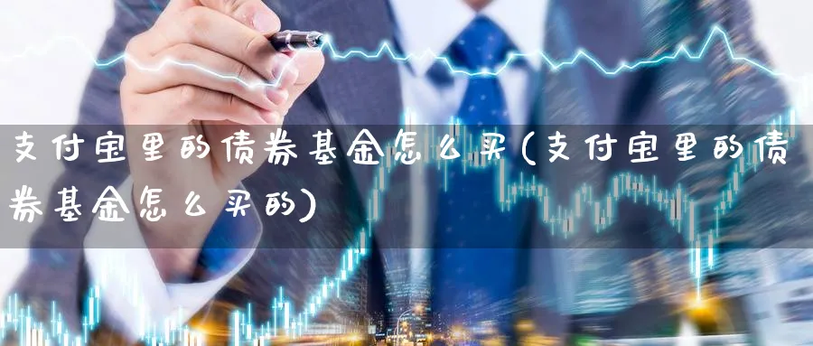 支付宝里的债券基金怎么买(支付宝里的债券基金怎么买的)_期货整理_第1张_云上财经直播室 支付宝里的债券基金怎么买(支付宝里的债券基金怎么买的)_https://www.yunsqy.com_期货整理_第1张