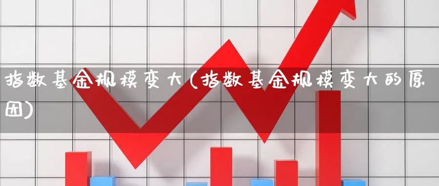 指数基金规模变大(指数基金规模变大的原因)_https://www.yunsqy.com_期货分类_第1张