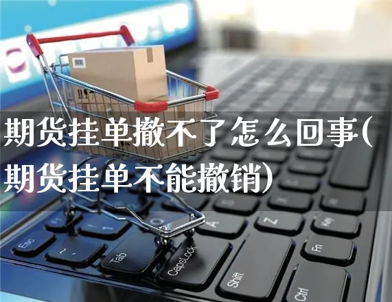 期货挂单撤不了怎么回事(期货挂单不能撤销)_https://www.yunsqy.com_期货整理_第1张