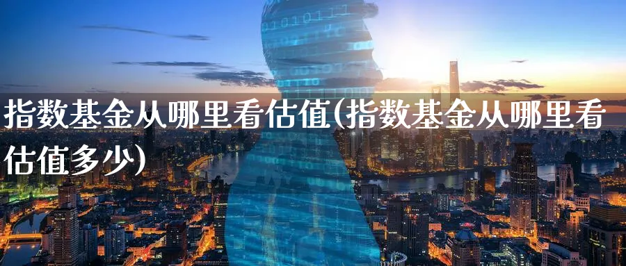 指数基金从哪里看估值(指数基金从哪里看估值多少)_期货整理_第1张_云上财经直播室 指数基金从哪里看估值(指数基金从哪里看估值多少)_https://www.yunsqy.com_期货整理_第1张