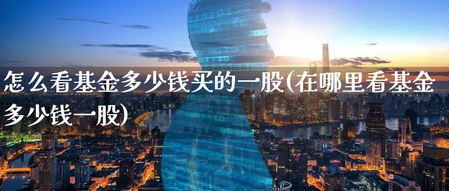 怎么看基金多少钱买的一股(在哪里看基金多少钱一股)_https://www.yunsqy.com_期货入门_第1张