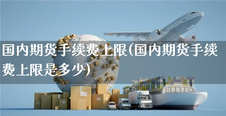 国内期货手续费上限(国内期货手续费上限是多少)_https://www.yunsqy.com_期货整理_第1张