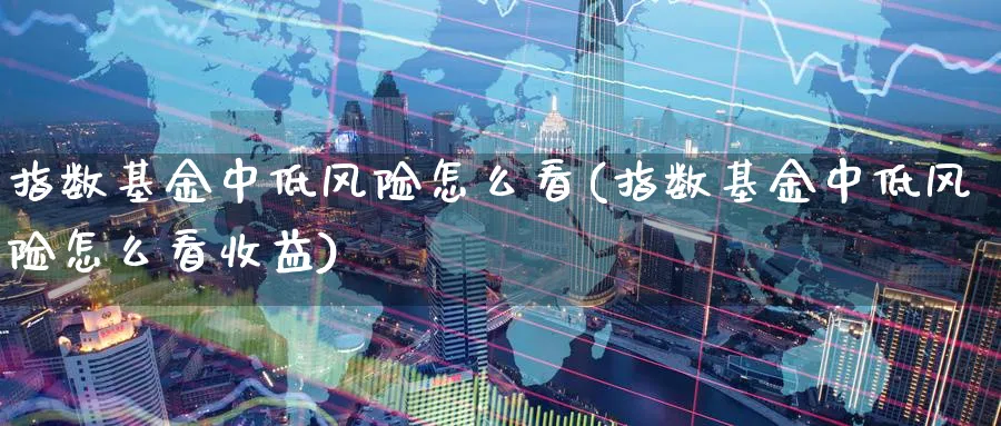 指数基金中低风险怎么看(指数基金中低风险怎么看收益)_https://www.yunsqy.com_期货理财_第1张
