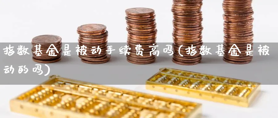 指数基金是被动手续费高吗(指数基金是被动的吗)_https://www.yunsqy.com_纳指期货_第1张