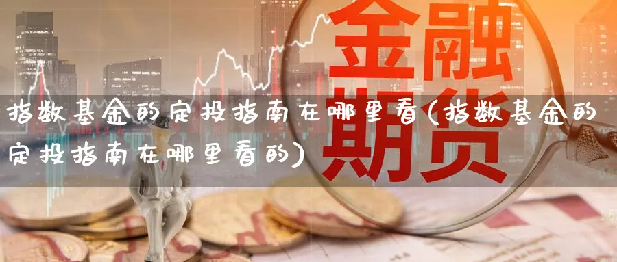 指数基金的定投指南在哪里看(指数基金的定投指南在哪里看的)_https://www.yunsqy.com_期货分类_第1张