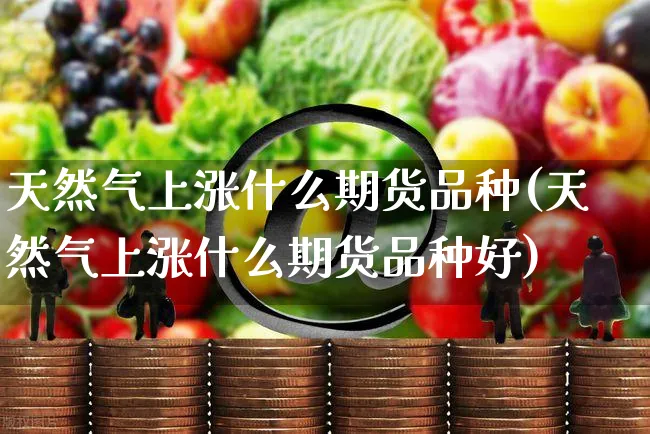 天然气上涨什么期货品种(天然气上涨什么期货品种好)_https://www.yunsqy.com_纳指期货_第1张