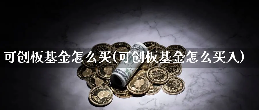 可创板基金怎么买(可创板基金怎么买入)_https://www.yunsqy.com_期货入门_第1张