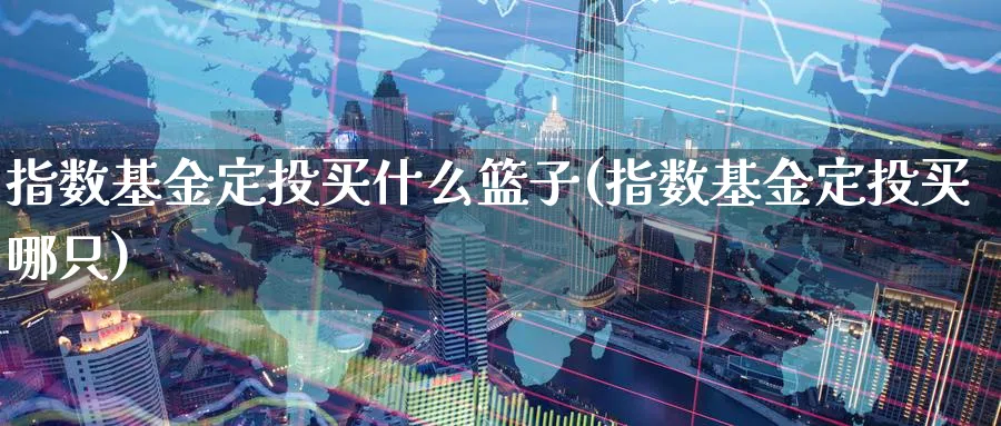 指数基金定投买什么篮子(指数基金定投买哪只)_https://www.yunsqy.com_期货技术_第1张