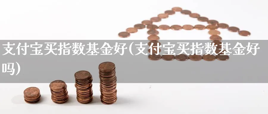 支付宝买指数基金好(支付宝买指数基金好吗)_https://www.yunsqy.com_期货理财_第1张