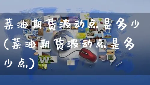 菜油期货波动点是多少(菜油期货波动点是多少点)_https://www.yunsqy.com_期货直播_第1张