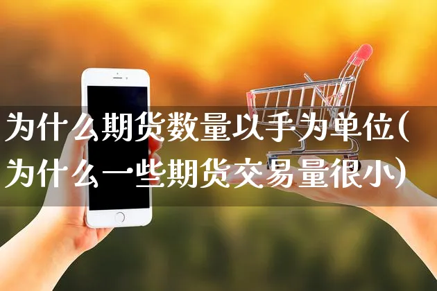 为什么期货数量以手为单位(为什么一些期货交易量很小)_https://www.yunsqy.com_期货分类_第1张