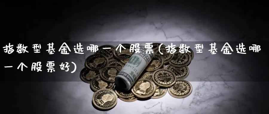 指数型基金选哪一个股票(指数型基金选哪一个股票好)_理财百科_第1张_云上财经直播室 指数型基金选哪一个股票(指数型基金选哪一个股票好)_https://www.yunsqy.com_理财百科_第1张