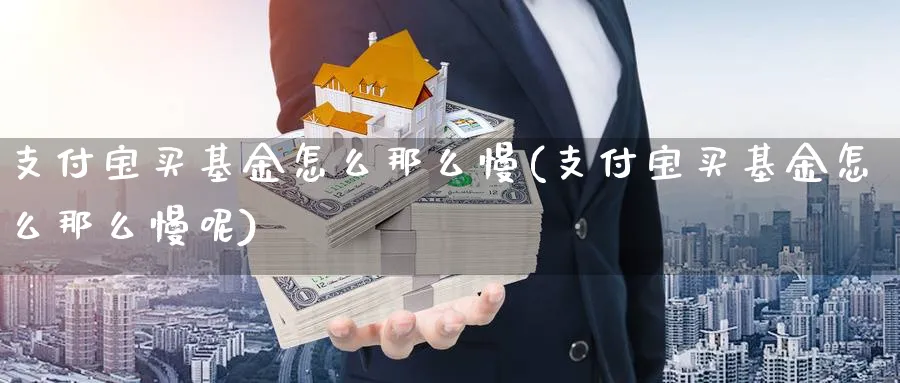 支付宝买基金怎么那么慢(支付宝买基金怎么那么慢呢)_https://www.yunsqy.com_期货入门_第1张