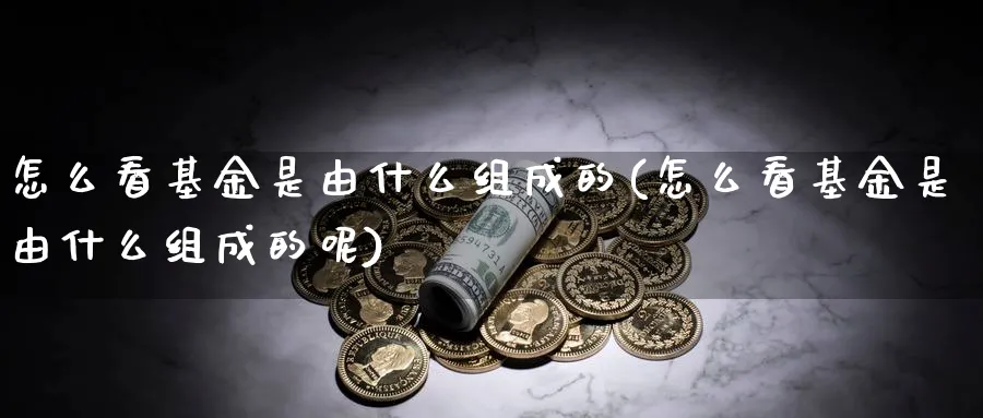 怎么看基金是由什么组成的(怎么看基金是由什么组成的呢)_https://www.yunsqy.com_黄金期货_第1张