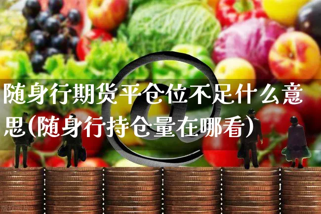 随身行期货平仓位不足什么意思(随身行持仓量在哪看)_https://www.yunsqy.com_原油期货_第1张