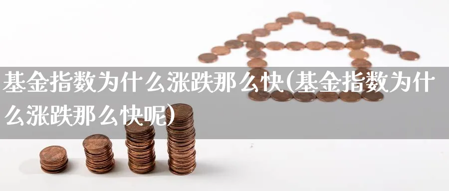 基金指数为什么涨跌那么快(基金指数为什么涨跌那么快呢)_https://www.yunsqy.com_期货整理_第1张