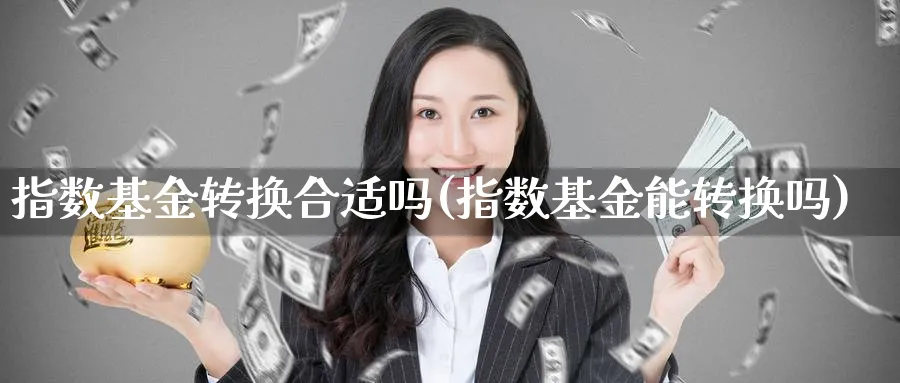 指数基金转换合适吗(指数基金能转换吗)_期货分类_第1张_云上财经直播室 指数基金转换合适吗(指数基金能转换吗)_https://www.yunsqy.com_期货分类_第1张