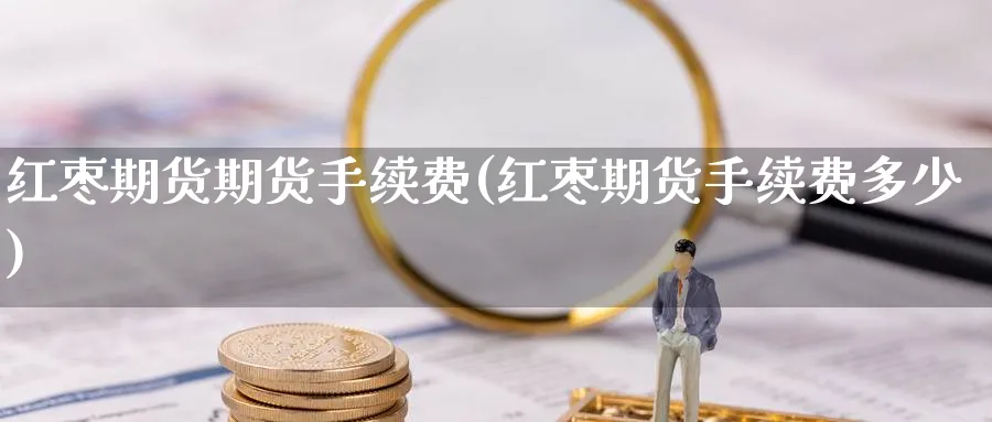 红枣期货期货手续费(红枣期货手续费多少)_https://www.yunsqy.com_期货整理_第1张
