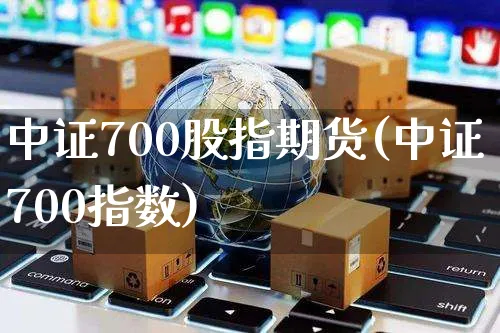 中证700股指期货(中证700指数)_https://www.yunsqy.com_期货整理_第1张