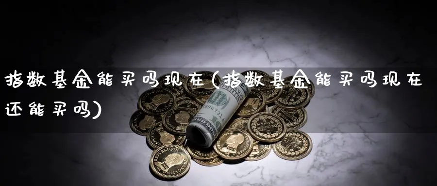 指数基金能买吗现在(指数基金能买吗现在还能买吗)_https://www.yunsqy.com_原油期货_第1张