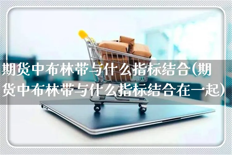期货中布林带与什么指标结合(期货中布林带与什么指标结合在一起)_https://www.yunsqy.com_期货整理_第1张