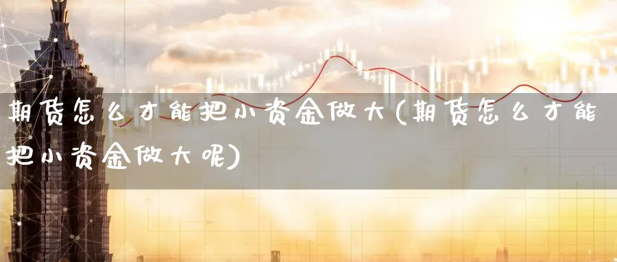 期货怎么才能把小资金做大(期货怎么才能把小资金做大呢)_https://www.yunsqy.com_期货技术_第1张