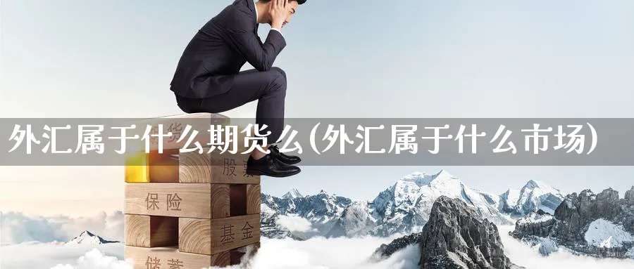 外汇属于什么期货么(外汇属于什么市场)_https://www.yunsqy.com_期货分类_第1张