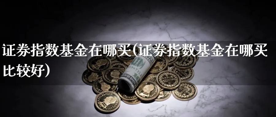 证券指数基金在哪买(证券指数基金在哪买比较好)_https://www.yunsqy.com_期货分类_第1张