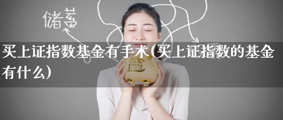 买上证指数基金有手术(买上证指数的基金有什么)_期货理财_第1张_云上财经直播室 买上证指数基金有手术(买上证指数的基金有什么)_https://www.yunsqy.com_期货理财_第1张