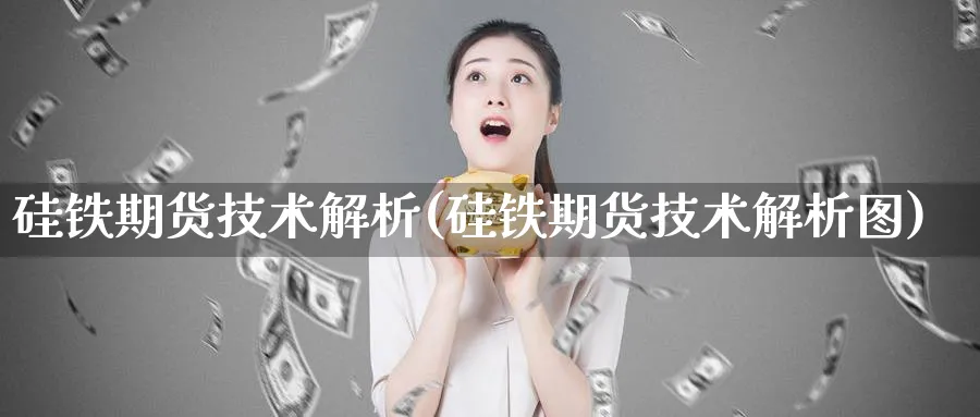 硅铁期货技术解析(硅铁期货技术解析图)_https://www.yunsqy.com_期货技术_第1张