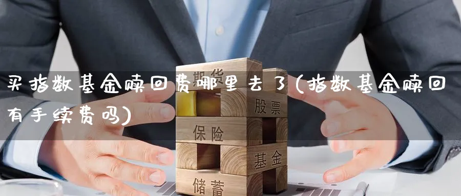 买指数基金赎回费哪里去了(指数基金赎回有手续费吗)_https://www.yunsqy.com_期货分类_第1张